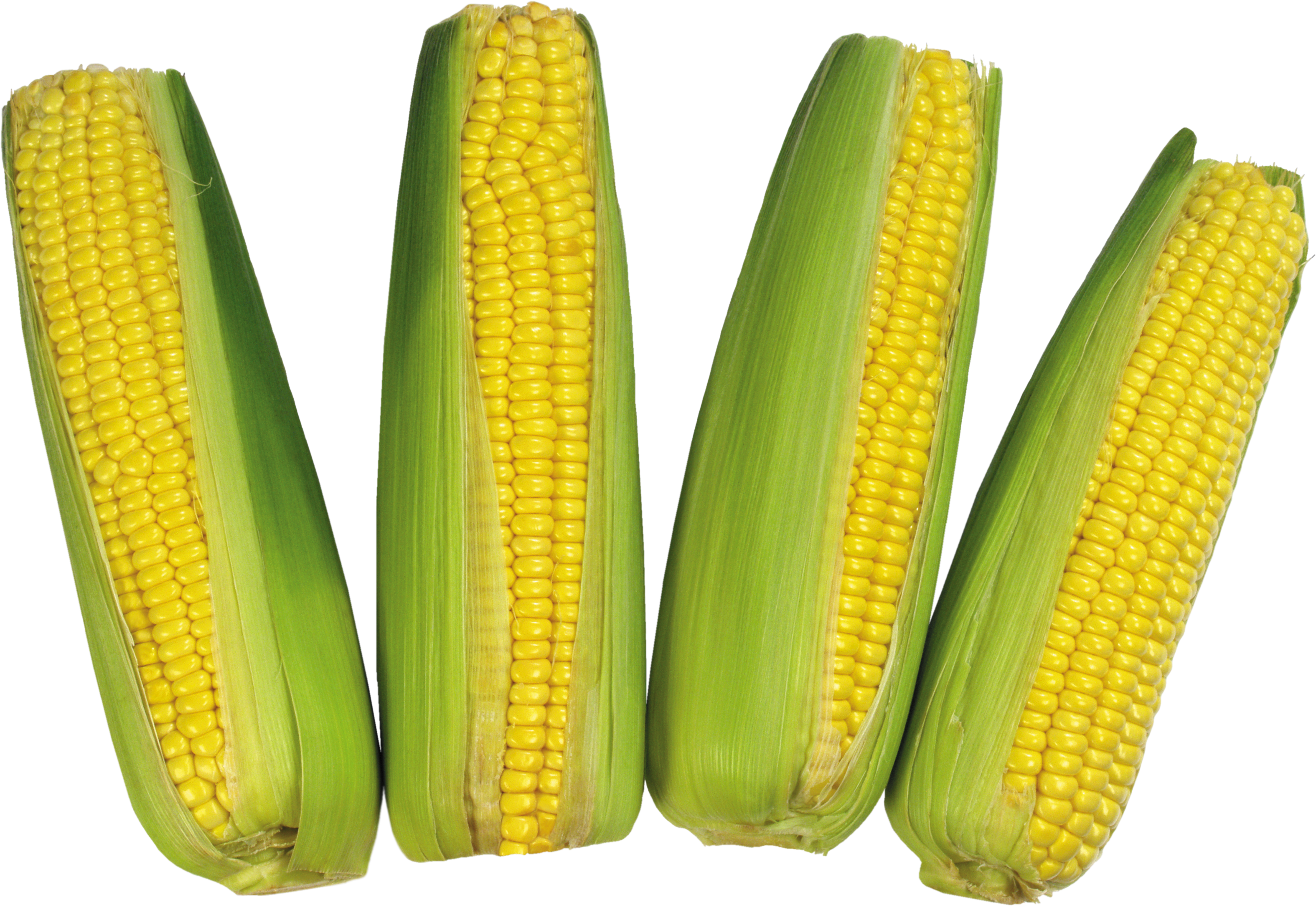 Sweet Corn
