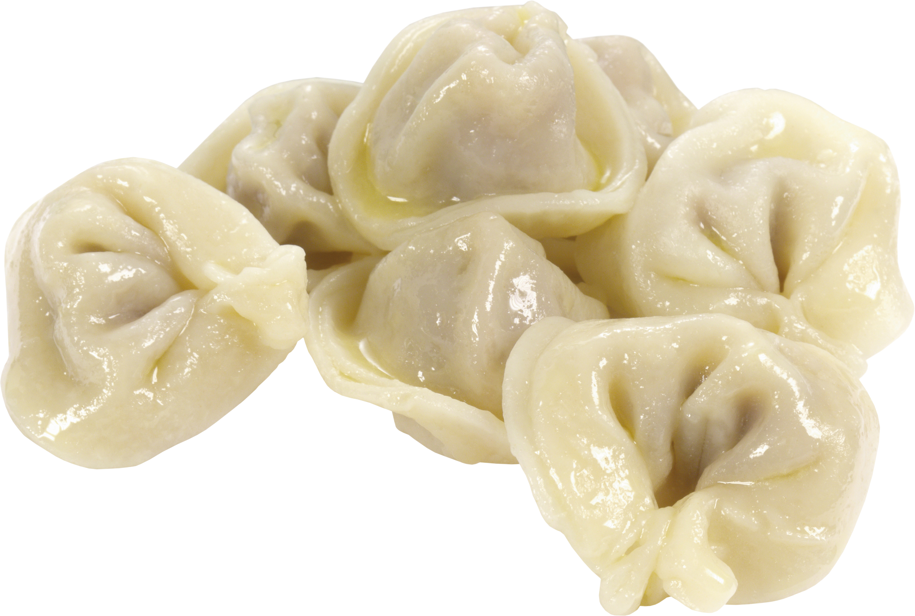 Veg Dumpling